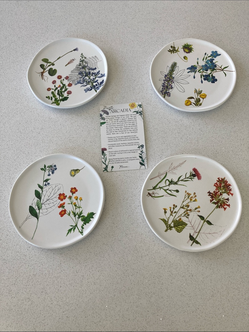 4 Arcadia Plates